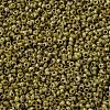MIYUKI Round Rocailles Beads SEED-G009-RR4512-2