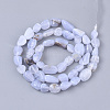 Natural Blue Lace Agate Beads Strands G-S363-047B-2