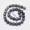 Natural Labradorite Round Bead Strands G-I156-01-10mm-2