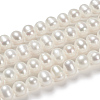 Natural Cultured Freshwater Pearl Beads PEAR-D039-1-5