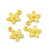 Rack Plating Alloy Charms FIND-G045-05MG-3