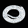 Natural Freshwater Shell Beads Strands SHEL-N003-26-3