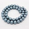 Round Shell Pearl Frosted Beads Strands X-BSHE-I002-6mm-323-2