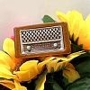 Alloy Mini Imitation Radio Decoration PW-WG500A6-01-1