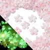 Luminous Resin Decoden Cabochons RESI-Z032-03B-1