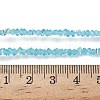 Electroplate Transparent Glass Beads Strands EGLA-P061-04C-AB20-4