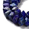 Natural Lapis Lazuli Beads Strands G-D091-A24-4
