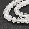 Natural Rainbow Moonstone Beads Strands G-E569-H07-3