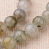 Natural Labradorite Round Beads Strands G-I168-04-6mm-1