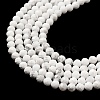 Natural Howlite Beads Strands G-E608-A01-B-4