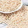 Baking Paint Luster Glass Seed Beads SEED-B001-04A-02-1