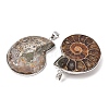 Snail Fossil Pendants G-D051-1A-2