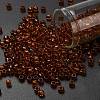 TOHO 6/0 Round Beads SEED-TR06-2154-1
