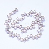 Natural Cultured Freshwater Pearl Beads Strands PEAR-G004-01B-01-2