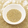 MIYUKI Delica Beads SEED-J020-DB0034-2