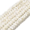 Natural Freshwater Shell Beads Strands BSHE-E026-17-2