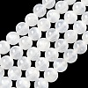 Natural Selenite Beads Strands G-L552H-16D-2
