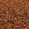 TOHO 6/0 Round Beads X-SEED-TR06-0022B-3
