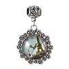 Alloy European Dangle Charms PALLOY-G242-02AS-1