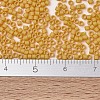 MIYUKI Delica Beads SEED-J020-DB2285-4