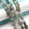 Natural Labradorite Beads Strands G-P528-C05-01-2