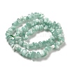 Natural Glass Beads Strands G-Q024-C02-01-3