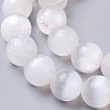 Natural Selenite Beads Strands G-I203-C-6mm-5