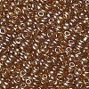 Glass Seed Beads SEED-A006-4mm-102C-2