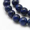 Natural Gemstone Beads Strands G-E394-02A-3