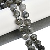 Natural Labradorite Beads Strands G-G182-B02-06-2