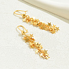 Stylish High-End Star Tassel Brass Hoop Earrings VW9610-2