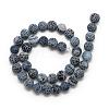 Natural Weathered Agate Bead Strands G-S237-10mm-05-2