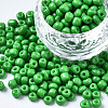 6/0 Glass Seed Beads SEED-S058-A-F277-1