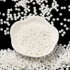 Glass Seed Beads SEED-H002-E-A121-2