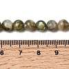 Natural Green Lepidolite Beads Strands G-K350-B01-6mm-5