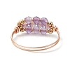 Natural Gemstone Beads with Solid Round Brass Beads and Eco-Friendly Copper Wire Rings RJEW-TA00184-6