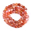 Natural Red Agate Beads Strands G-P497-01B-11-3