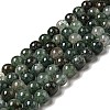 Natural Fuchsite Beads Strands G-K285-40C-1-1