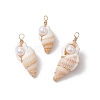 3Pcs Natural Shell Pendants PALLOY-JF03226-03-1