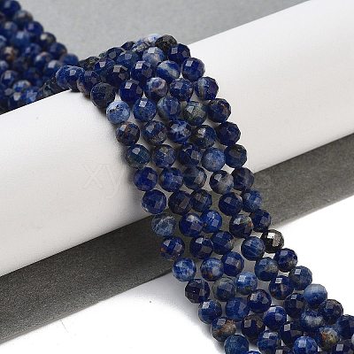 Natural Sodalite Beads Strands G-B088-C03-04-1