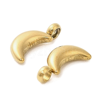 304 Stainless Steel Charms STAS-M017-14C-G-1-1
