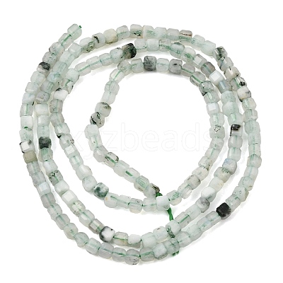Natural Tree Agate Beads Strands GG-CBA0C5B-A01-1