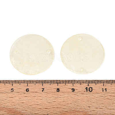 Spray Painted Natural Capiz Shell Disc Links Connector Charms SSHEL-T017-32H-1