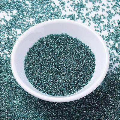 MIYUKI Delica Beads X-SEED-J020-DB1208-1