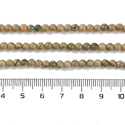 Natural Verdite Stone Beads Strands G-P530-B07-01-1
