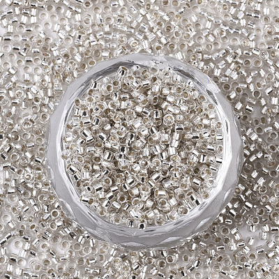 Glass Seed Beads X-SEED-S042-04B-06-1