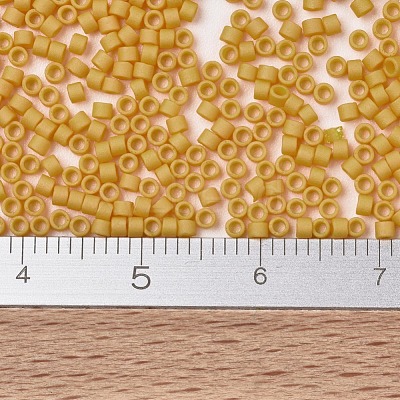 MIYUKI Delica Beads SEED-J020-DB2285-1