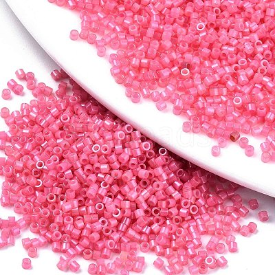 FGB 11/0 Grade A Glass Seed Beads X-SEED-S030-1144-1