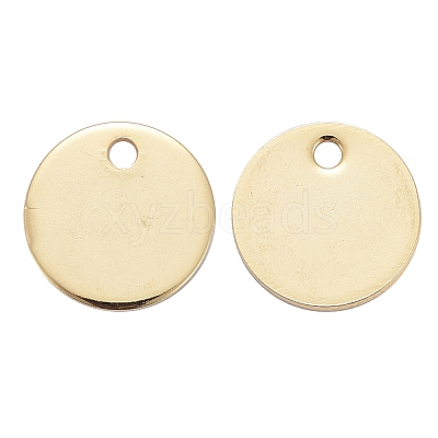 304 Stainless Steel Charms STAS-F174-06G-1