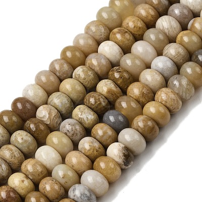 Natural Fossil Coral Beads Strands G-A280-A08-01-1